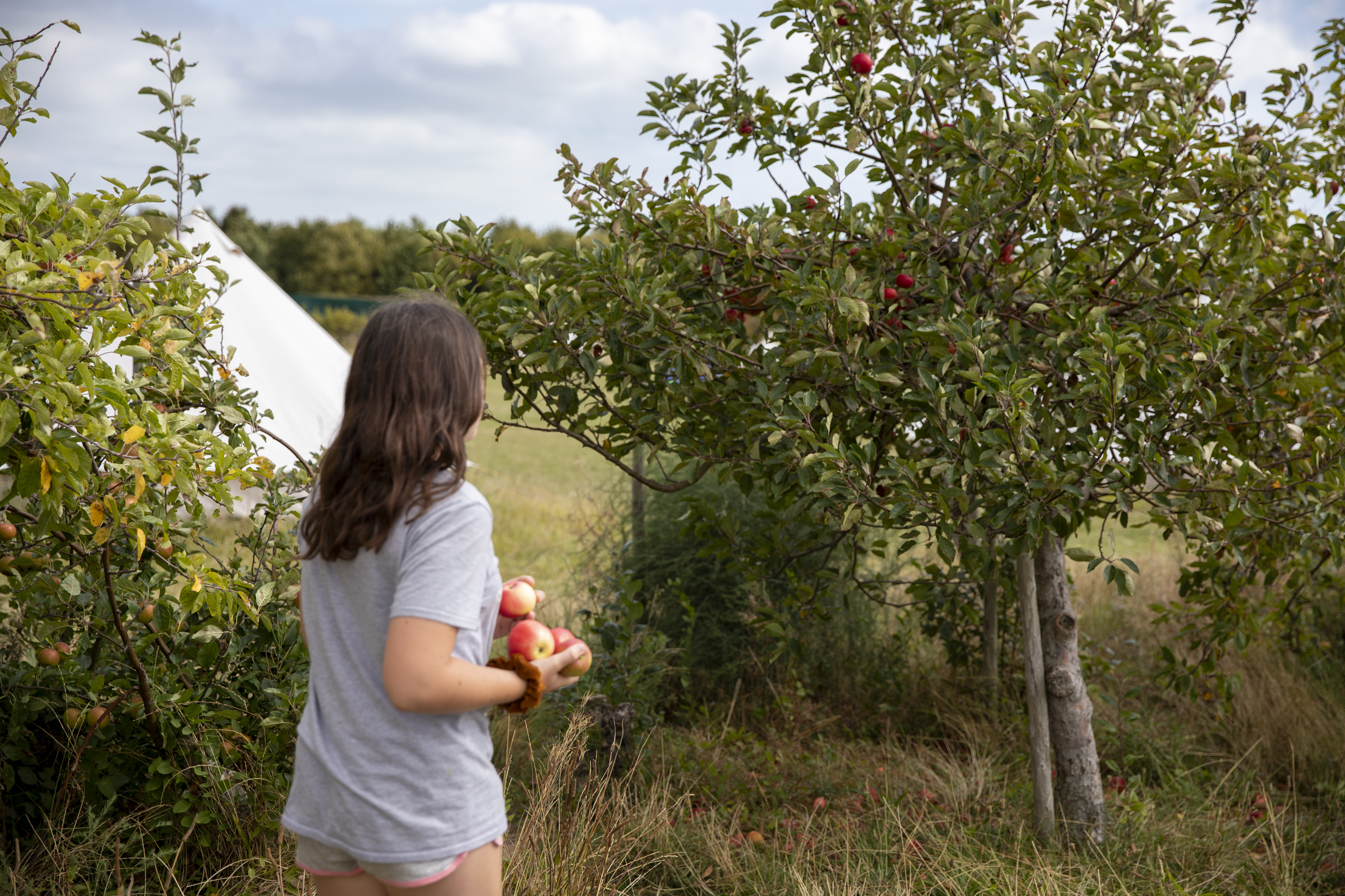 Fallow Fields Camping, Campsite, Bell Tent, Exploring, Sandwich, Kent, Countryside