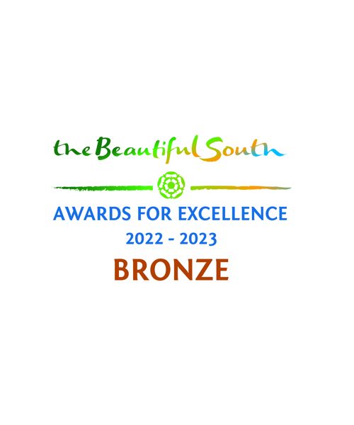 The Beautiful South Bronze award
