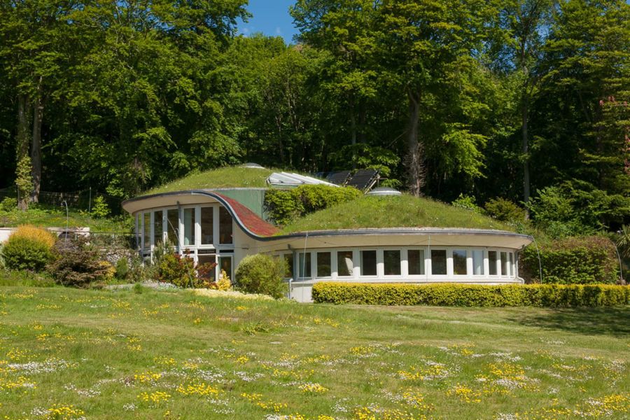 A buttercup and daisy filled meadow in the foreground with a circular building with green roof and tall green trees behind.
