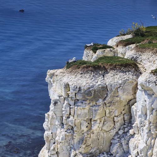 White Cliffs of Dover, Kent, White Cliffs Country
